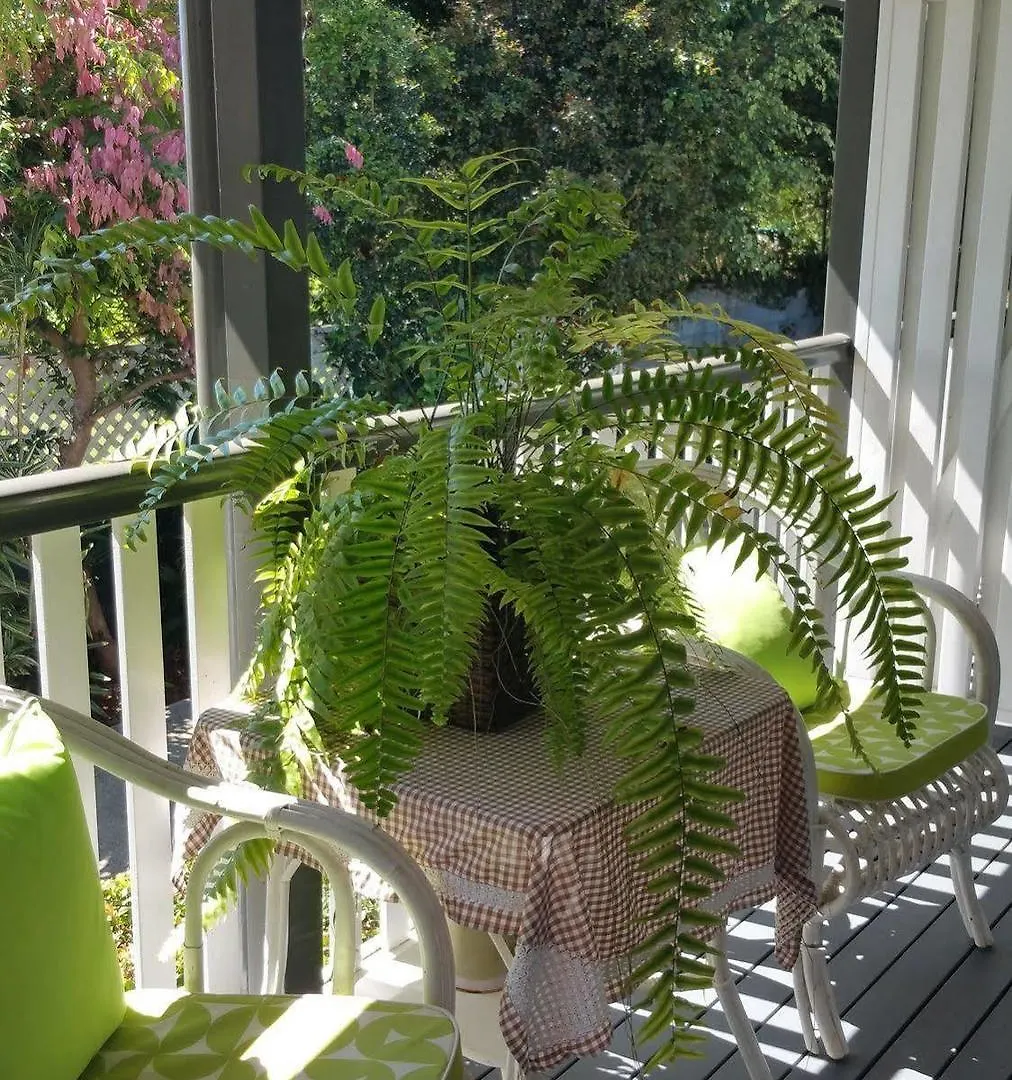 Elindale House Bed & Breakfast Lismore