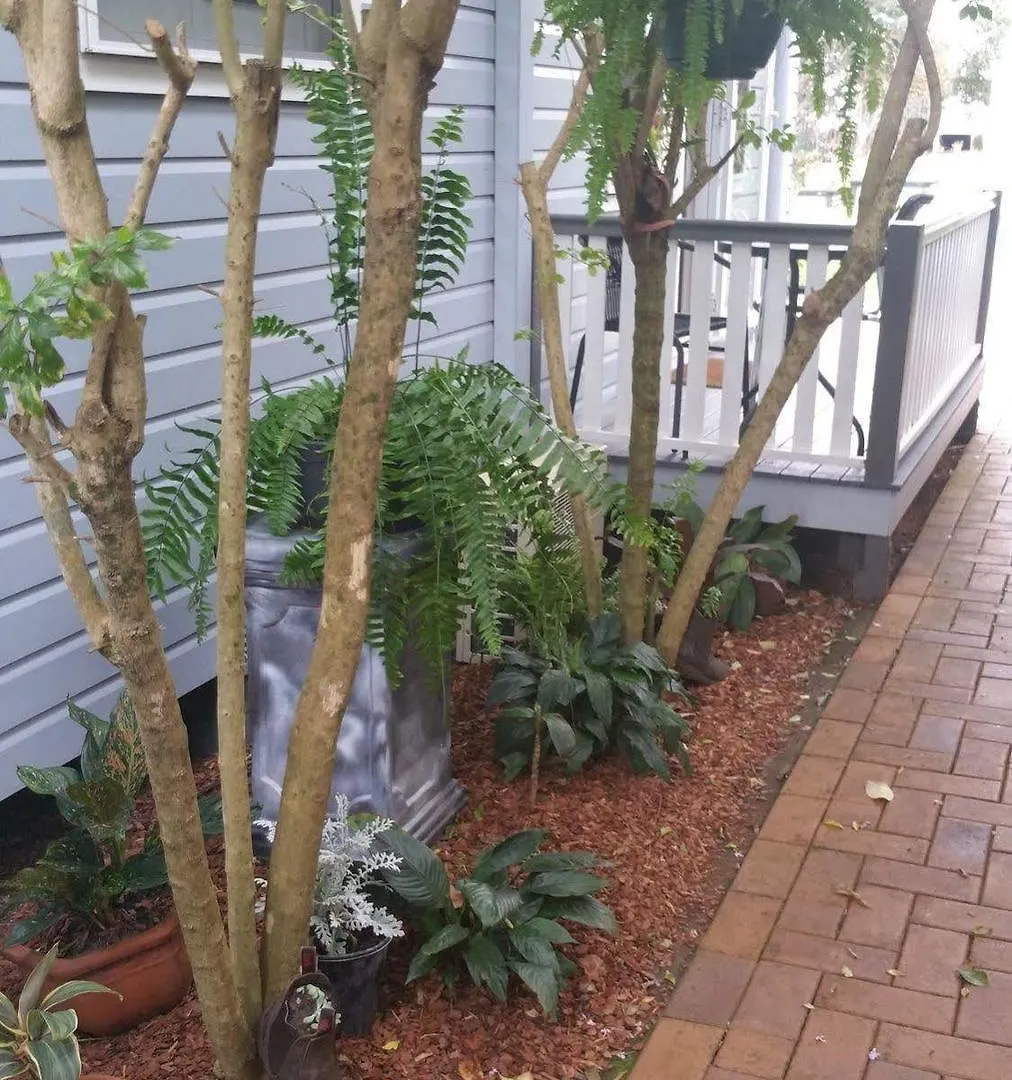 ****  Elindale House Bed & Breakfast Lismore Australia